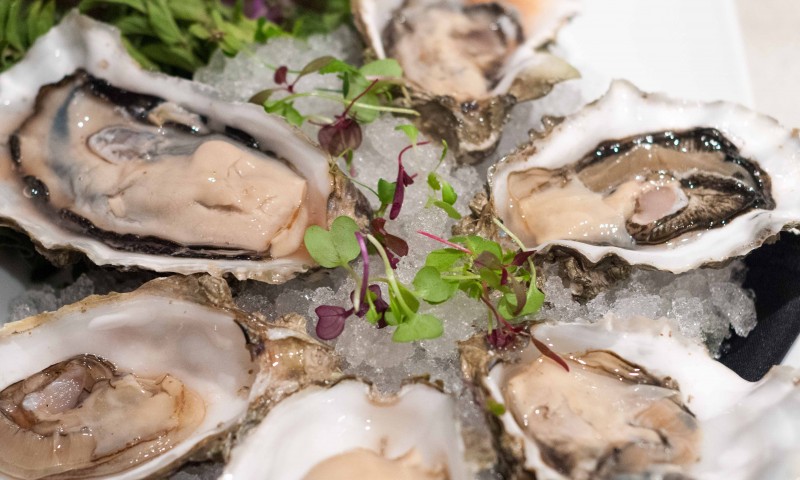 Raw Oysters Catering for Corporate Events