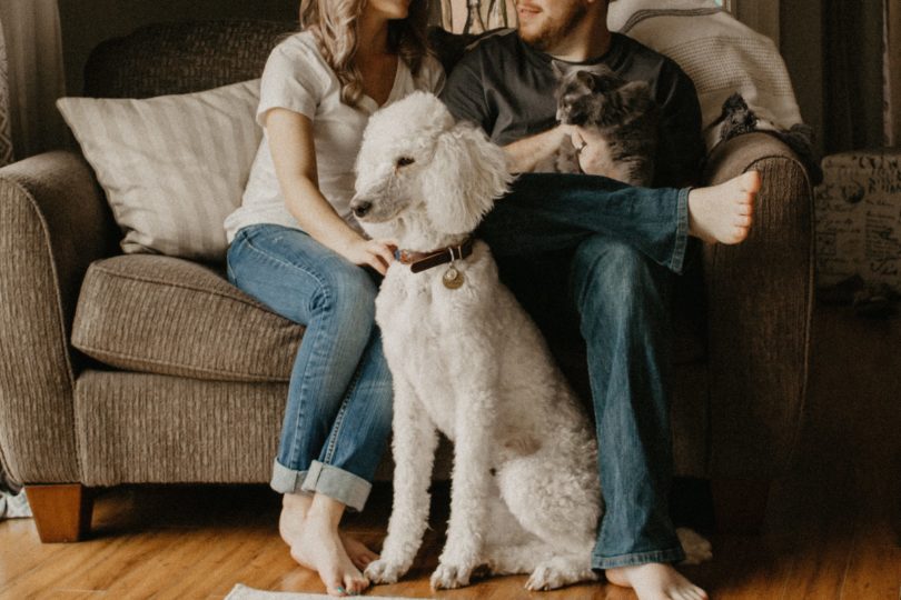 a couple sitting on a sofa with cat and dog